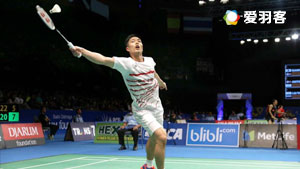 都有着极高 都有着极高