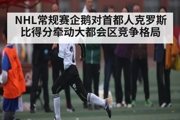 NHL常规赛企鹅对首都人克罗斯比得分牵动大都会区竞争格局